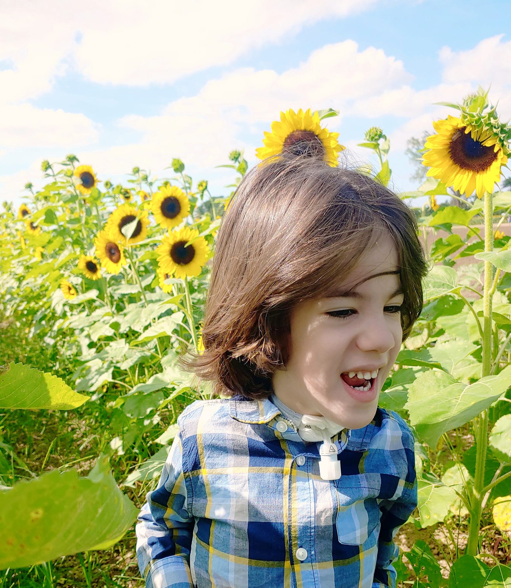 Five years after disaster, a rare disease community gets new chance at treatment